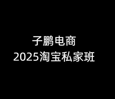 子鹏讲电商-淘宝私家班25年12月(价值4980元)-一起筹课网